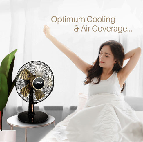 IFAN DESK FAN 12