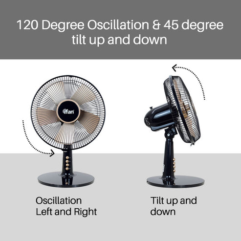 IFAN DESK FAN 12