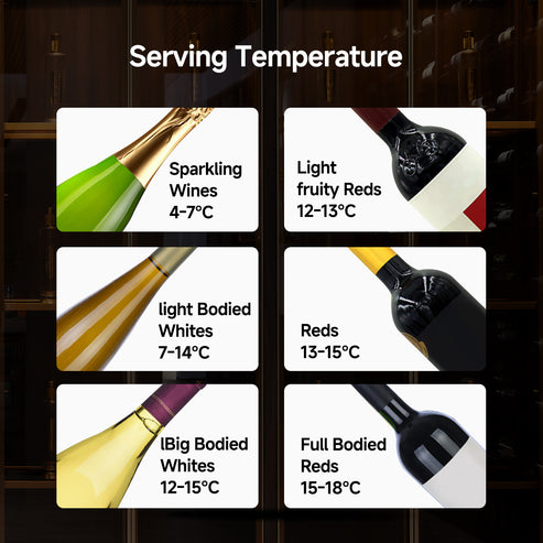 PowerPac Wine Chiller 52Bottles PPF52