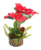 Poinsettia Chrstmas Plant 28cm (No Exchanges, No Returns)