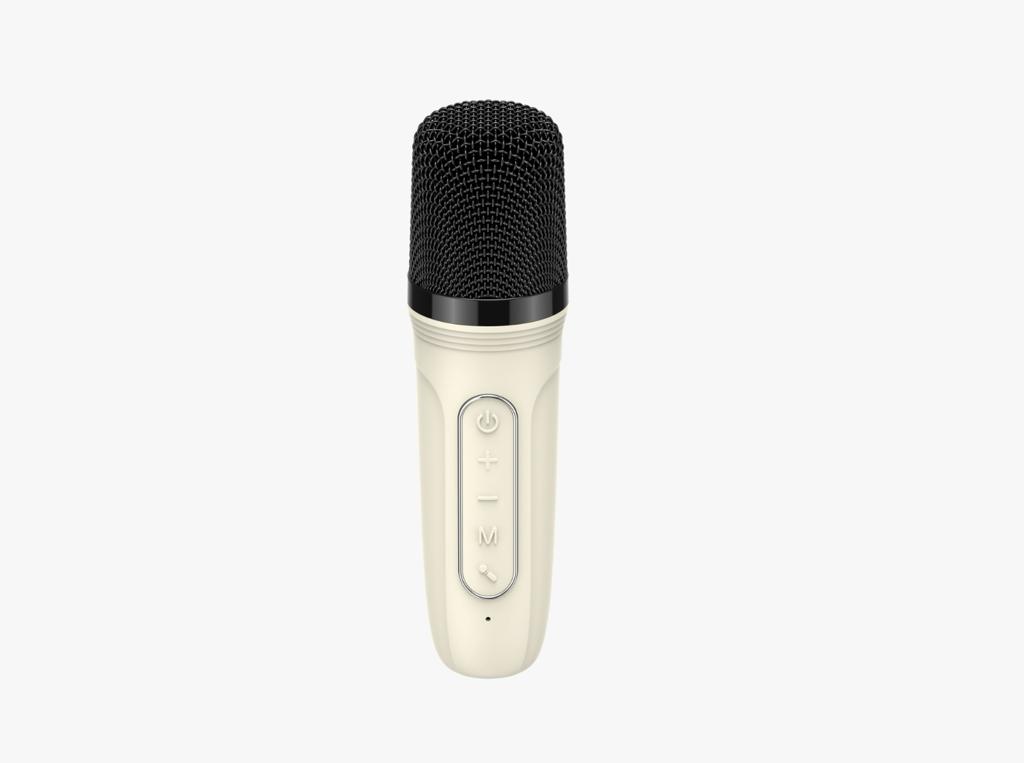 Mini Karaoke Set (Speaker + Microphone)SS-SK819BT
