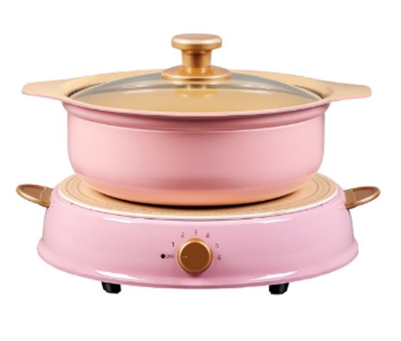 Iris Ohyama Ceramic Hot pot with induction cooker