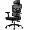 Ergonomic Mesh Office Chair with Adjustable Headrest