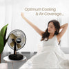 IFAN DESK FAN 12