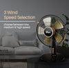 IFAN DESK FAN 12