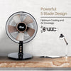 IFAN DESK FAN 12
