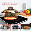 POWERPAC Ceramic Induction Cooker 2000w (Any Pot ) #PPIC880