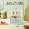2in1 Multi function 2 Tier Food Steamer & Steamboat 9.2L PPS704
