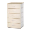 (Pre-order) 5 Tier Wooden Top Cabinet (56 x 41 x 99cm)